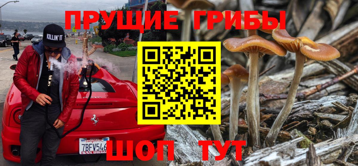 Псилоцибиновые грибы GOLDEN TEACHER Старая Купавна