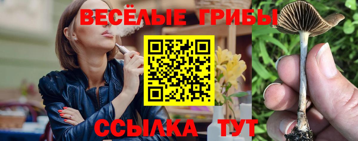 Старая Купавна  Галлюциногенные грибы Psilocybine cubensis  Вход с VPN 